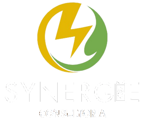 Synergie Consultoria